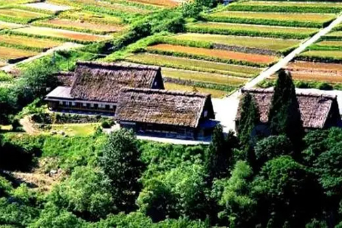 太陽(yáng)能溫室大棚成為農(nóng)業(yè)發(fā)展的新方向